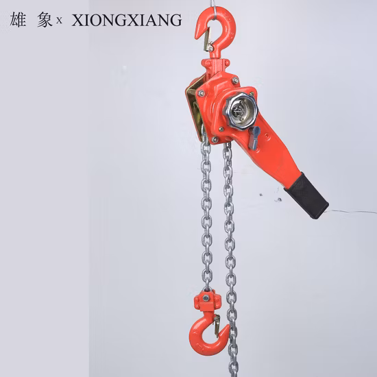 Paranco a leva manuale a catena Hsh, puleggia, blocco, accetta personalizzazione