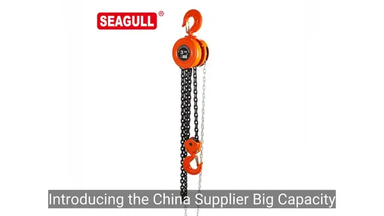 Paranco a catena manuale Seagull da 0,5 tonnellate e 1 tonnellata, blocco puleggia a catena per sollevamento manuale